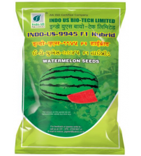 Watermelon Indo US 9945
